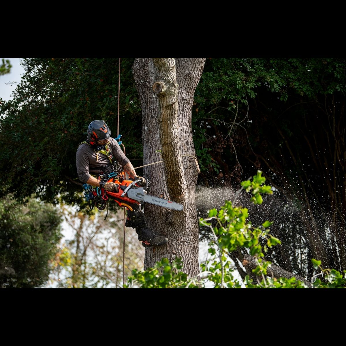 Husqvarna Profi-Motorsäge 564XP 20" – Bild 4